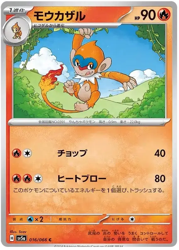 Monferno (JP)