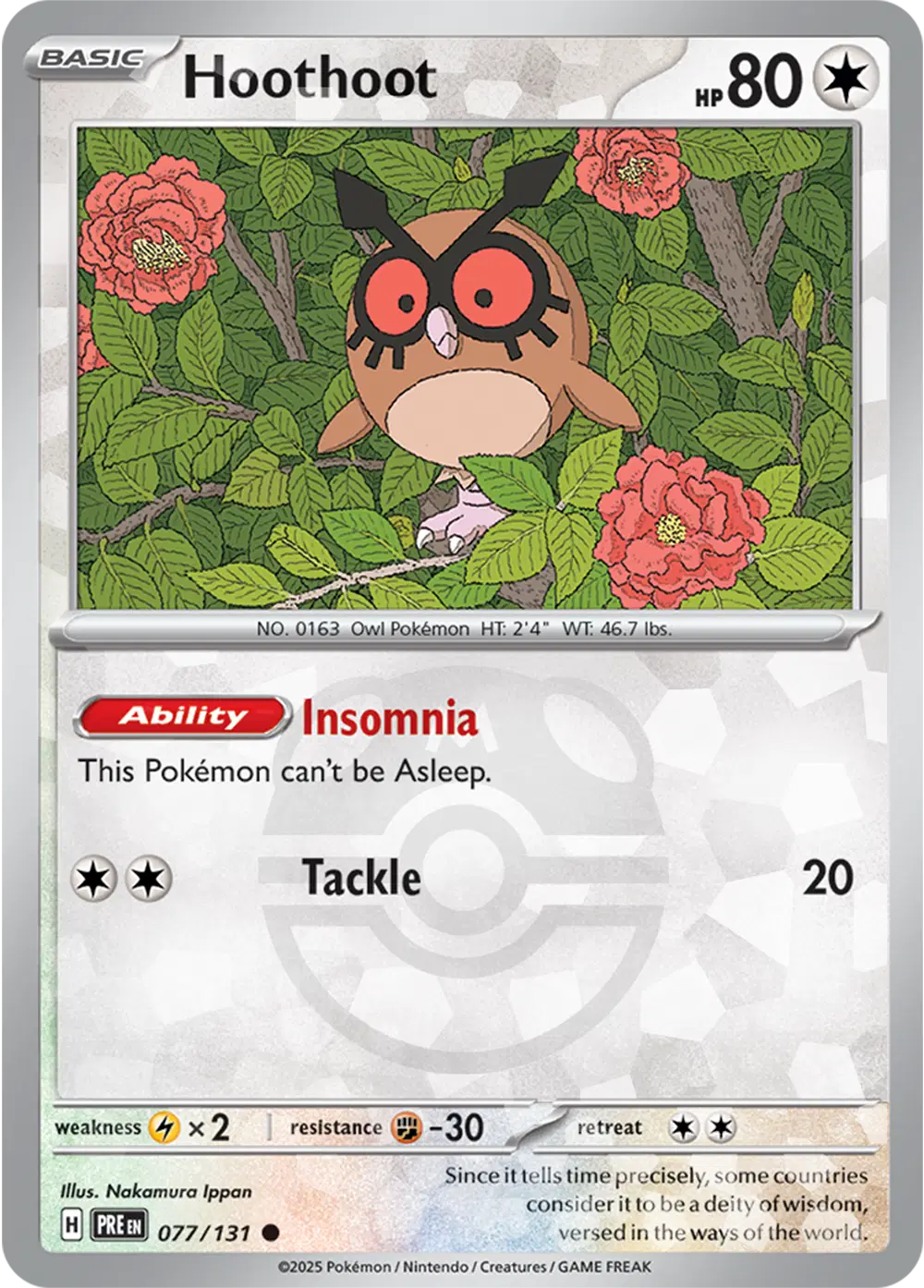 Hoothoot (Master Ball Pattern)