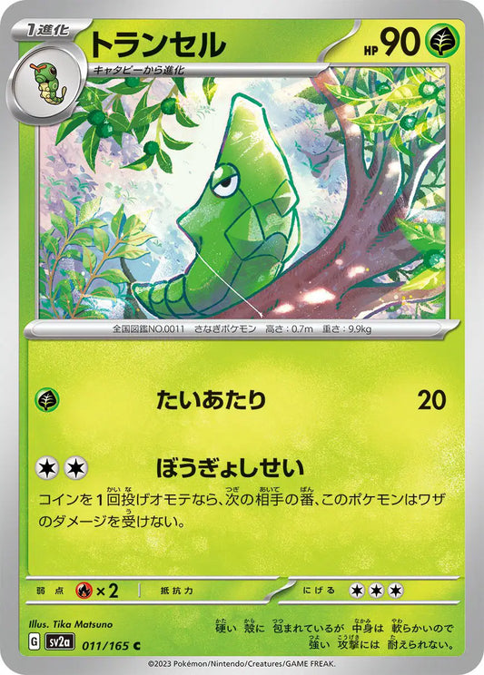 Metapod (JP)