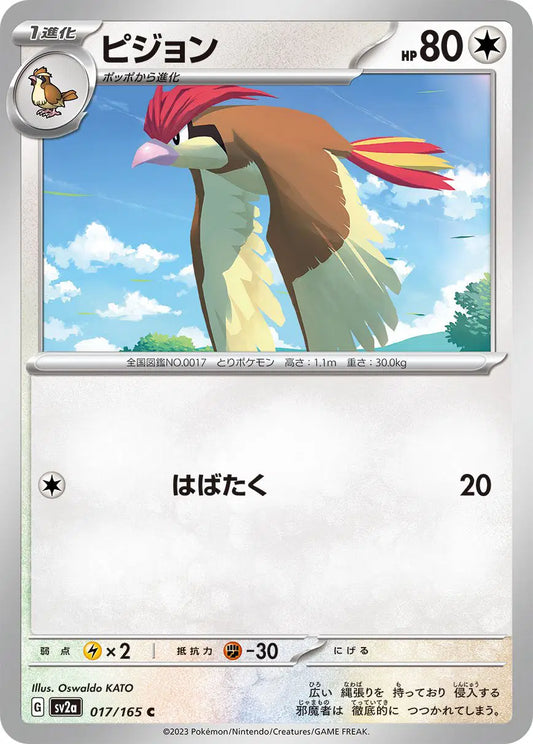 Pidgeotto (JP)