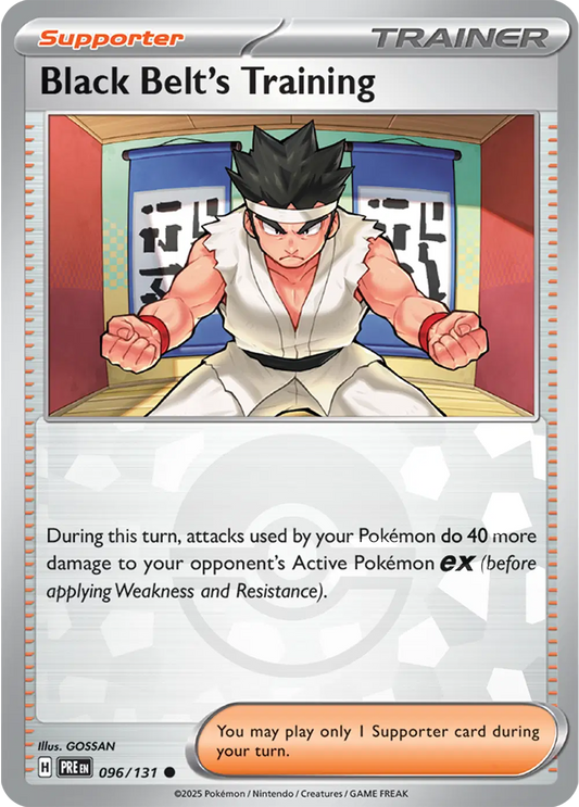 Black Belt's Training (Poke Ball Pattern)